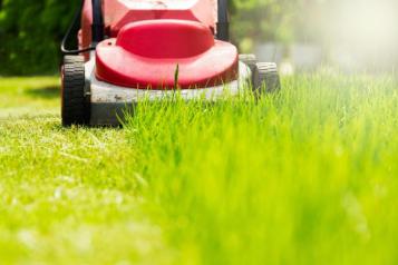 How to look after your lawn 7 top lawn care tips Love The Garden